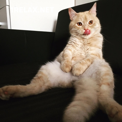 Девушка массажистка %ЛариSA%, салон %ЛариSA% фото №1